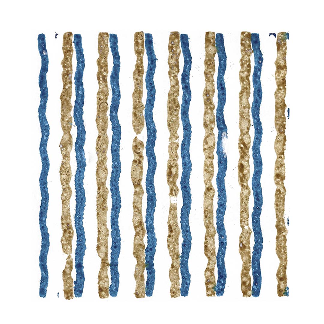 Border-1014